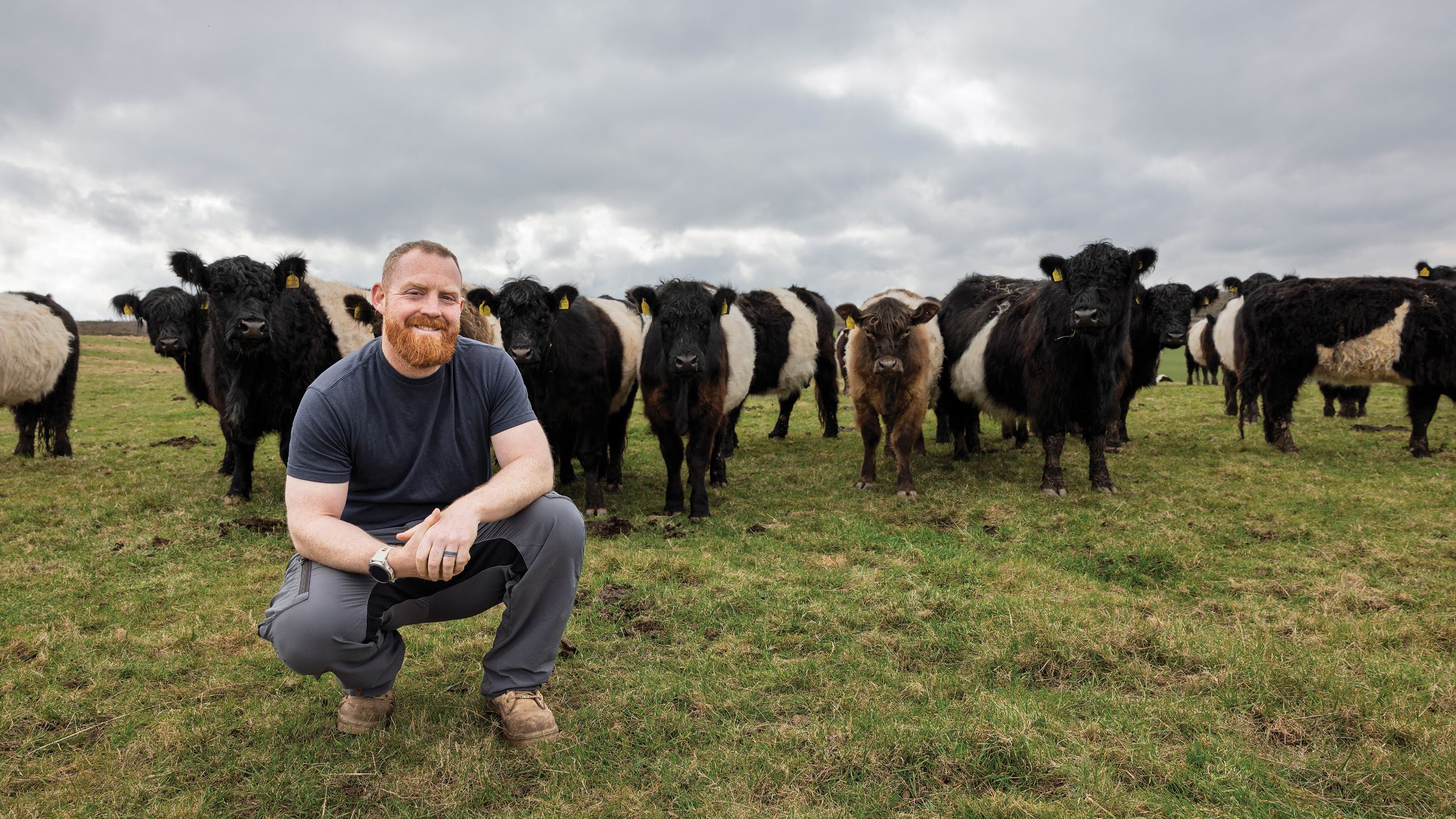 Chris Webber and Belted Galloways