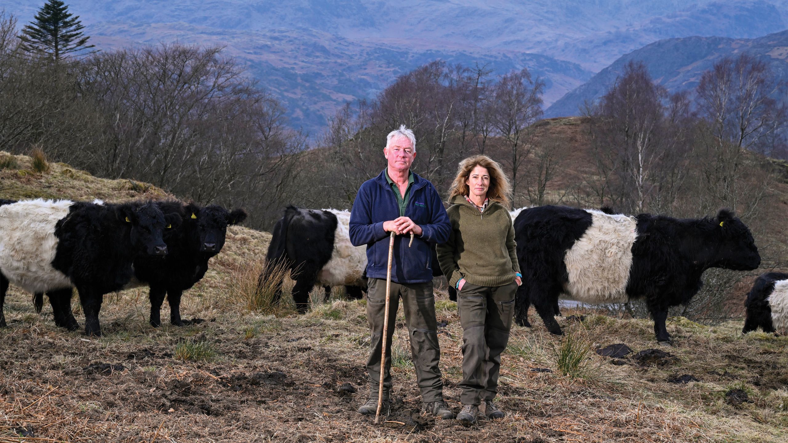 Jon Watson and Jo McGrath with their Belted Galloway cattle