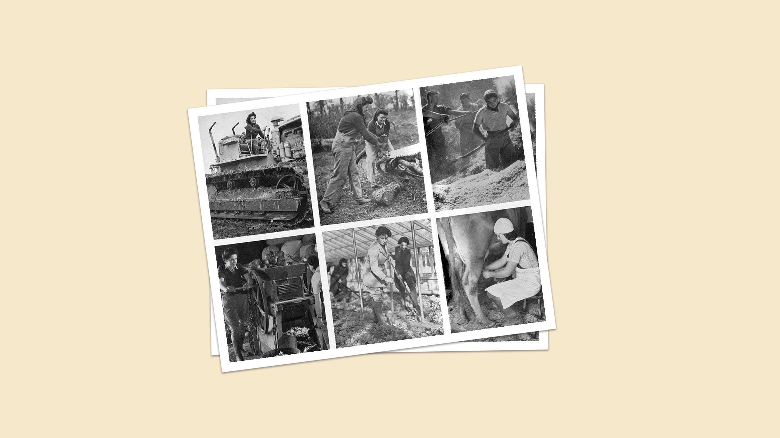 Land girls working on the farm