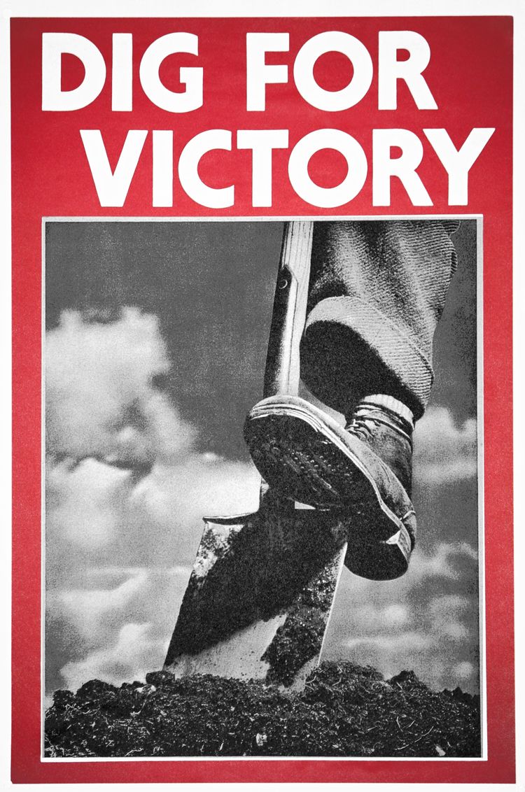 Dig for victory poster