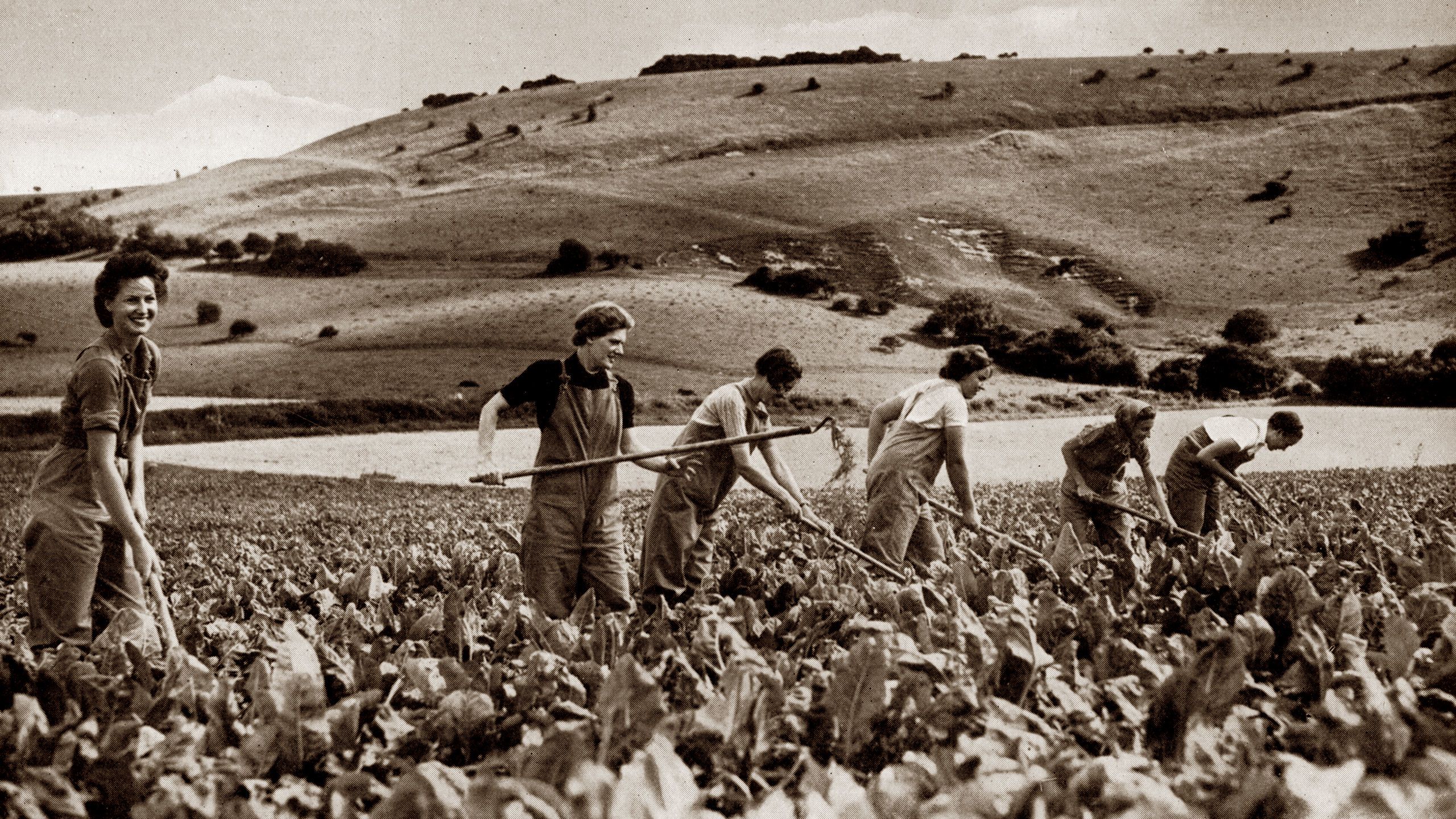 Women working the land