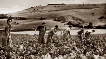 Women working the land