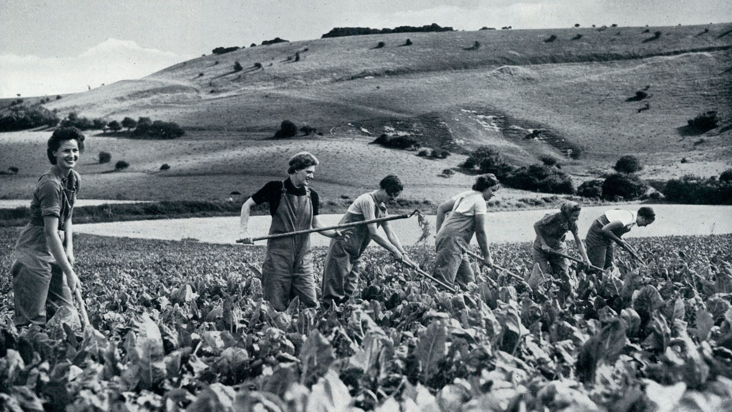 Women working the land