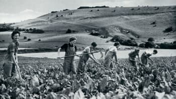 Women working the land