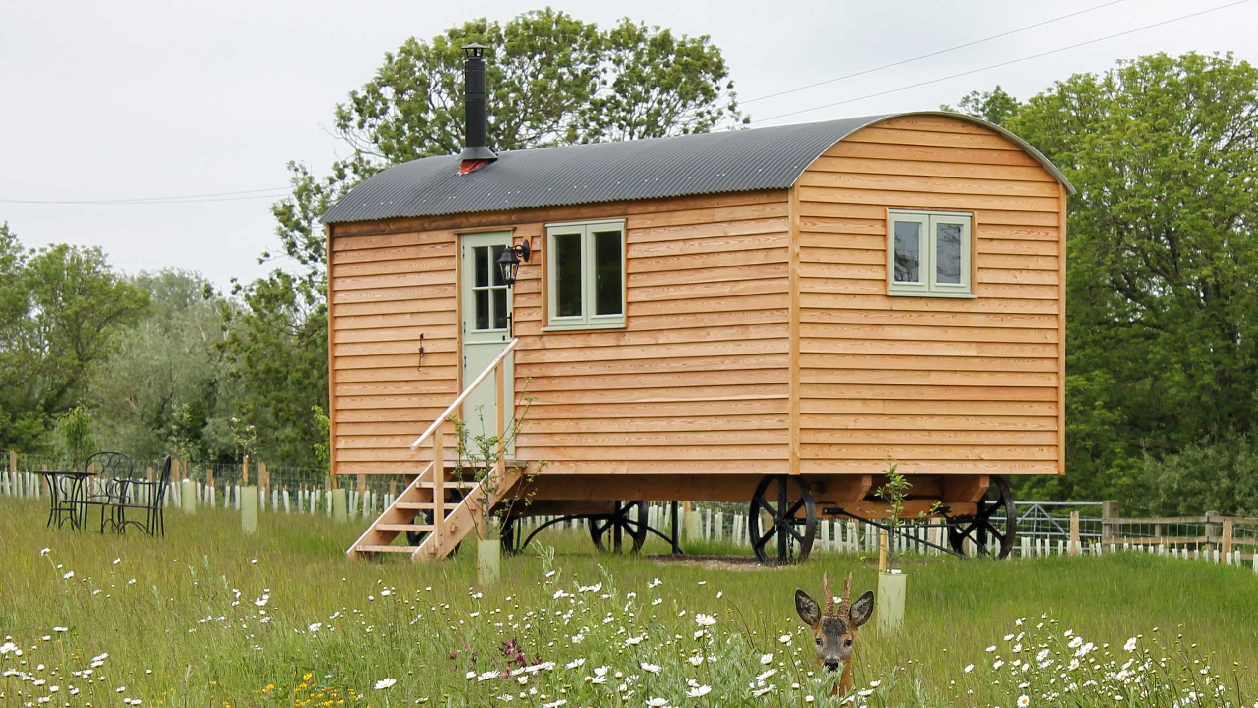 A hut with a deer hiding in the grass