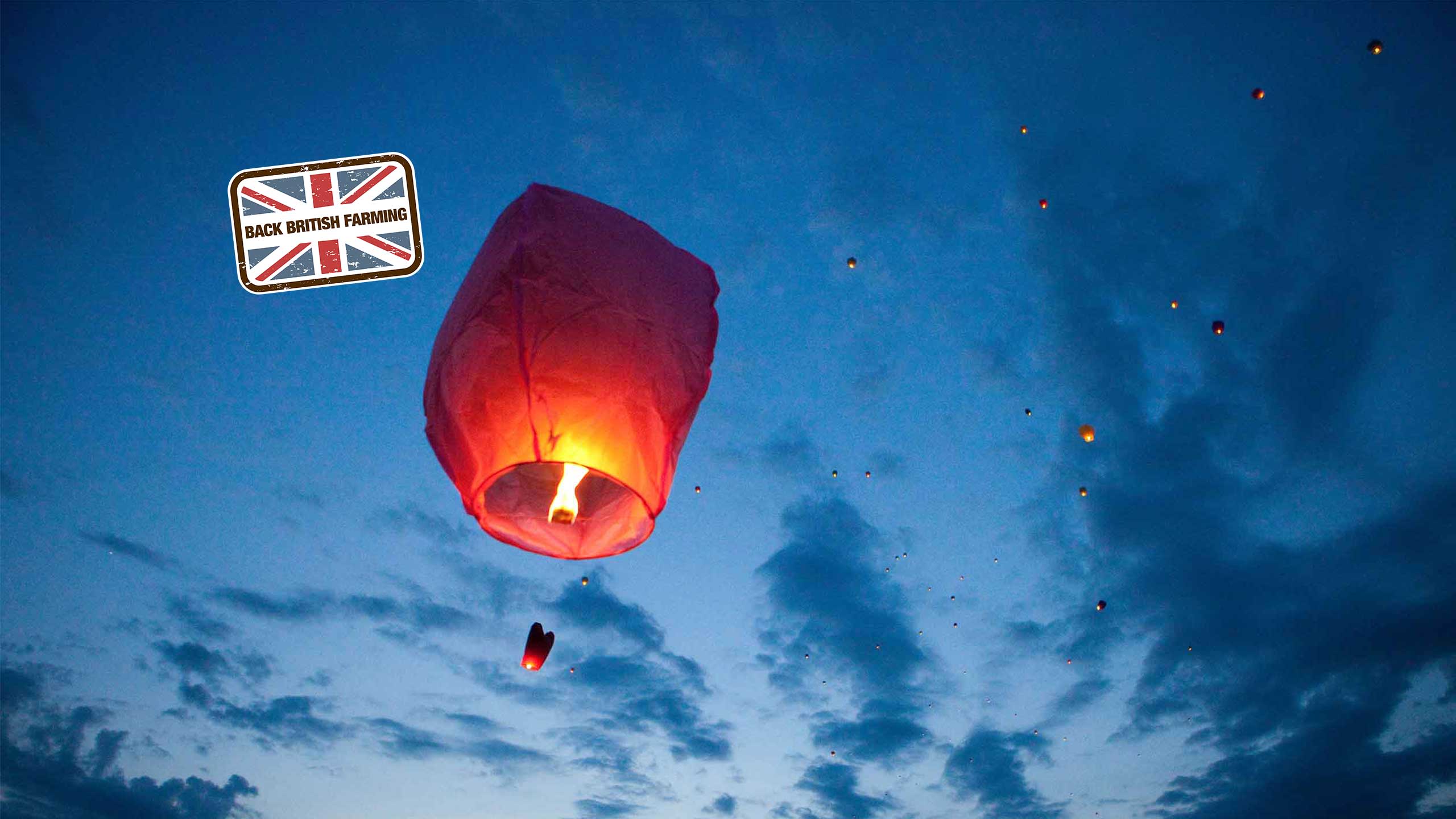 A group of sky lanterns pictured in the sky