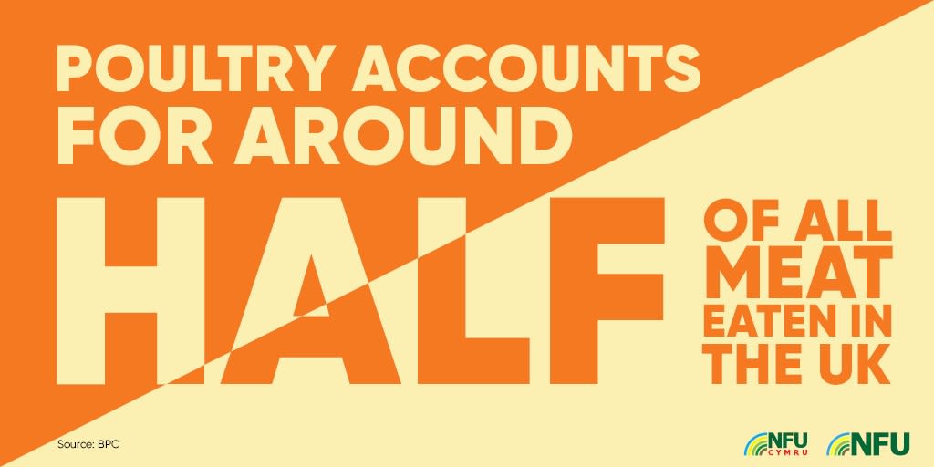 Poultry accounts for around half of all meat eaten in the UK