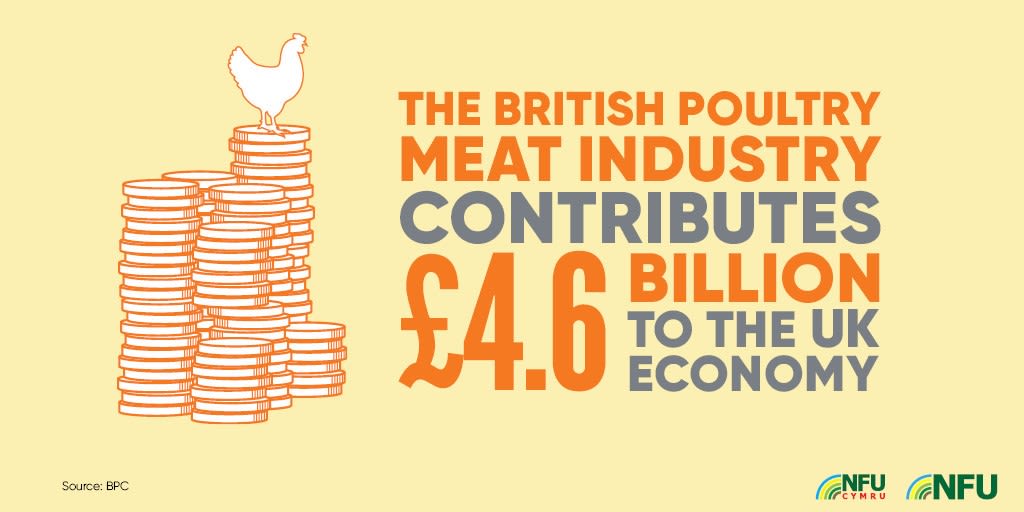 The British poultry meat industry contributes £4.6 billion to the UK economy