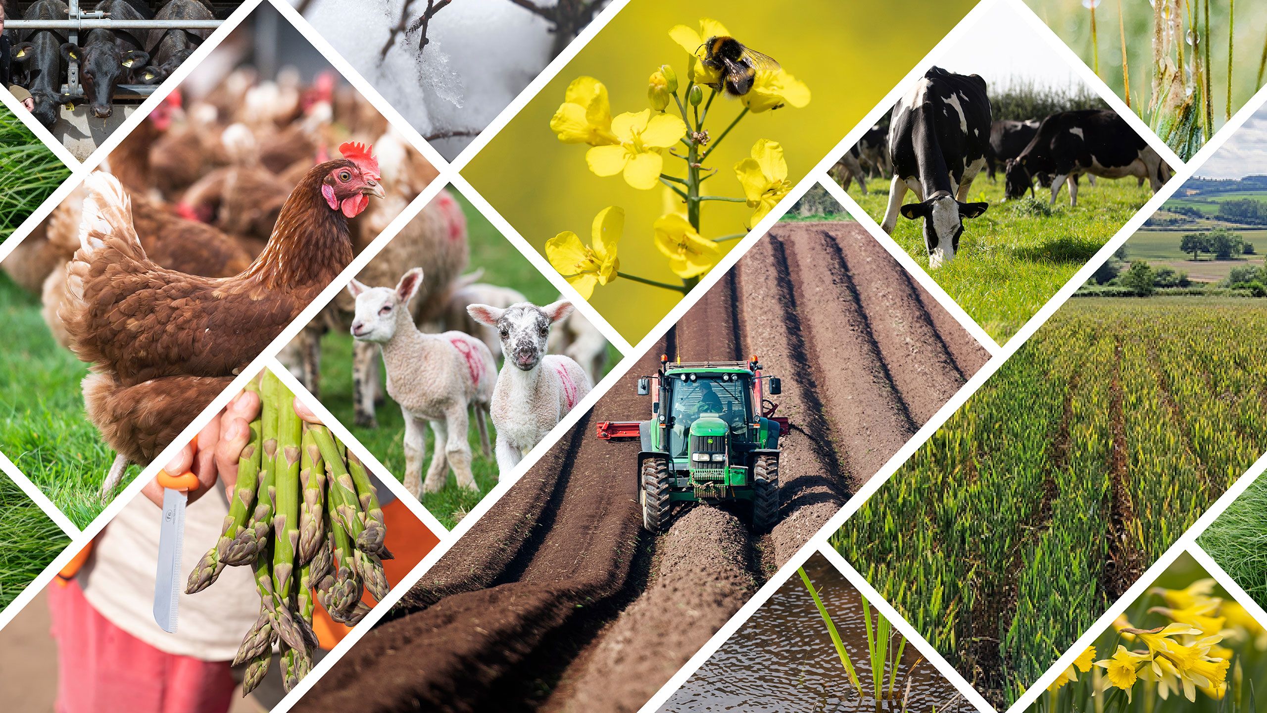 Collage of spring farming images