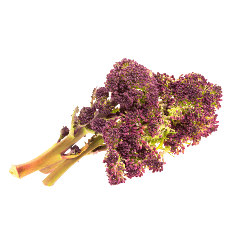 Purple sprouting broccoli