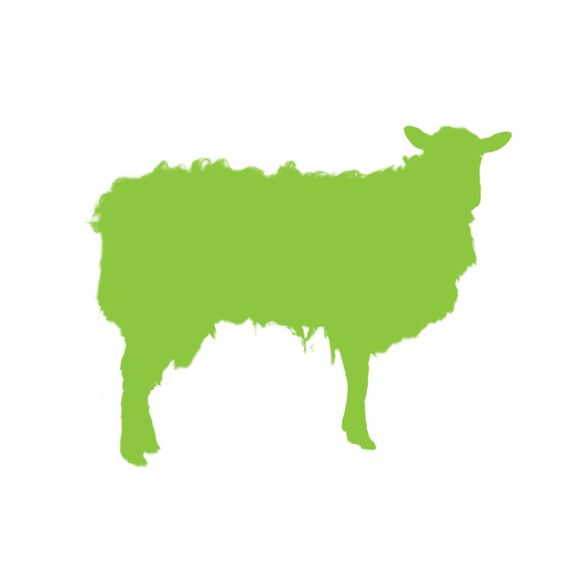 Sheep icon