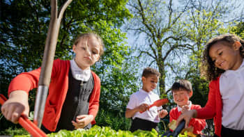 Four primary aged school children wearing school uniform, pictured outside planting and gardening.