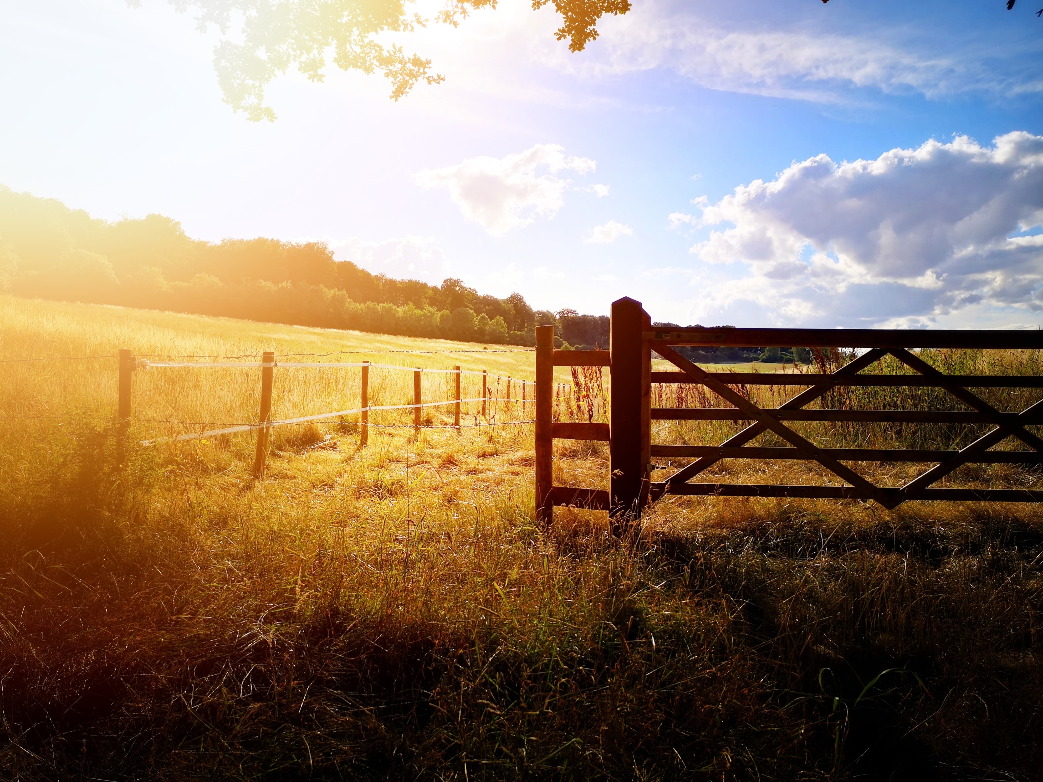 Sun on a farm gate