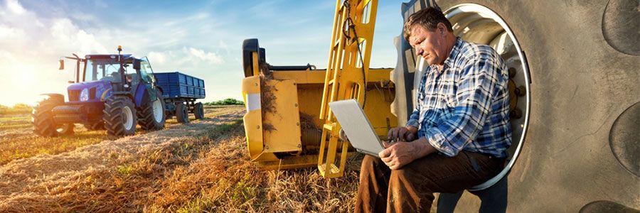 Man in field on laptop