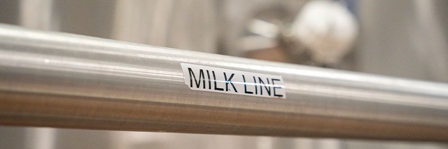 Milk line