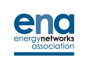 Energy Networks Association logo