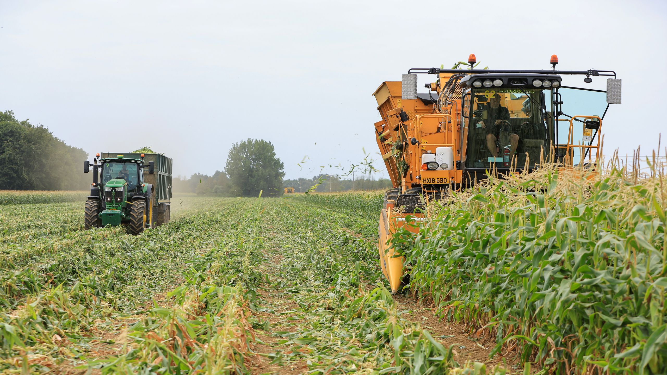 Building farming’s resilience – NFUonline
